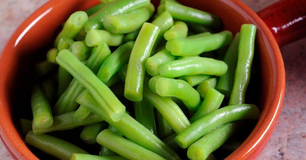 can-dogs-eat-canned-green-beans