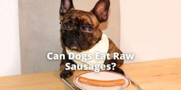 Can Dogs Eat Raw Sausages?