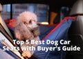 Top 5 Best Dog Car Seats [2022] Buyers Guide