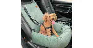 Top 5 Best Dog Car Seats [2022] Buyers Guide