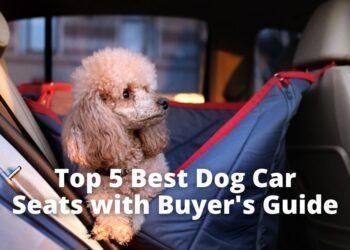 Top 5 Best Dog Car Seats [2022] Buyers Guide
