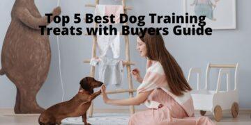 Top 5 Best Dog Training Treats [2022] with Buyers Guide