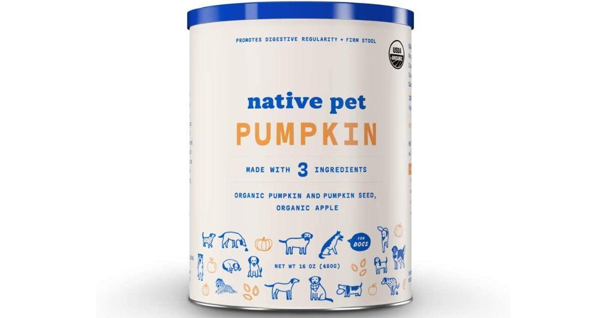 Best Pumpkin Powder for Dogs- Buyer's Guide