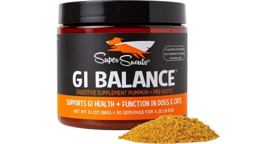 Best Pumpkin Powder for Dogs Buyer's Guide