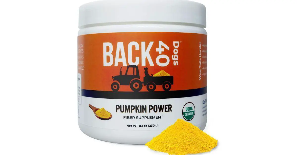 best-pumpkin-powder-for-dogs-buyer-s-guide