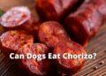 Can Dogs Eat Chorizo?