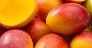 Can Spaniels Eat Mango?