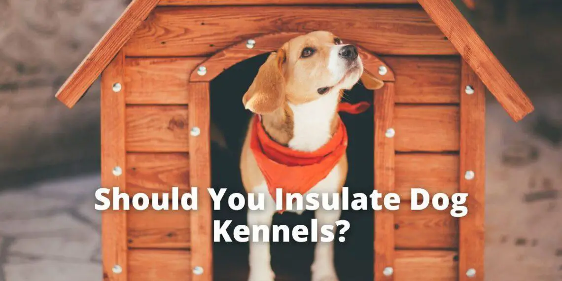 should you insulate a dog house