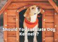 Should you Insulate Dog Kennels?