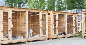 Should you Insulate Dog Kennels?