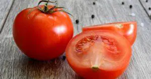 Are Tomatoes Bad for Spaniels?