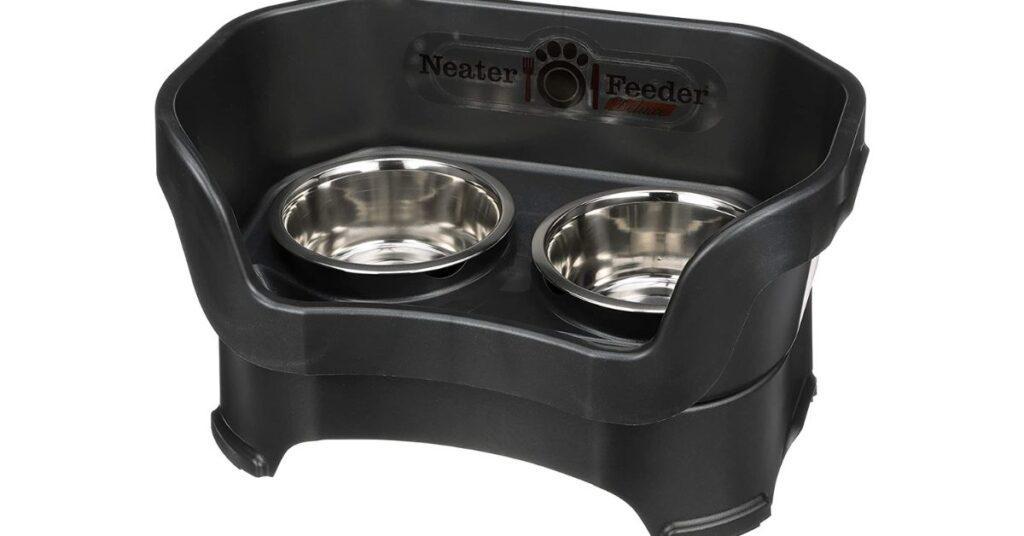 best-food-bowl-for-dog-with-no-teeth-buyer-s-guide