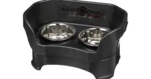 Best Food Bowl for Dog with no Teeth- Buyer's Guide