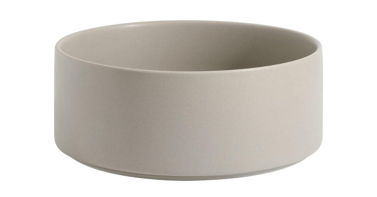 Best Food Bowl for Dog with no Teeth Buyer's Guide