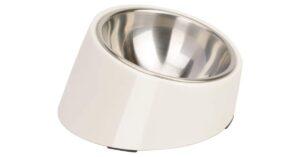 Best Food Bowl for Dog with no Teeth- Buyer's Guide