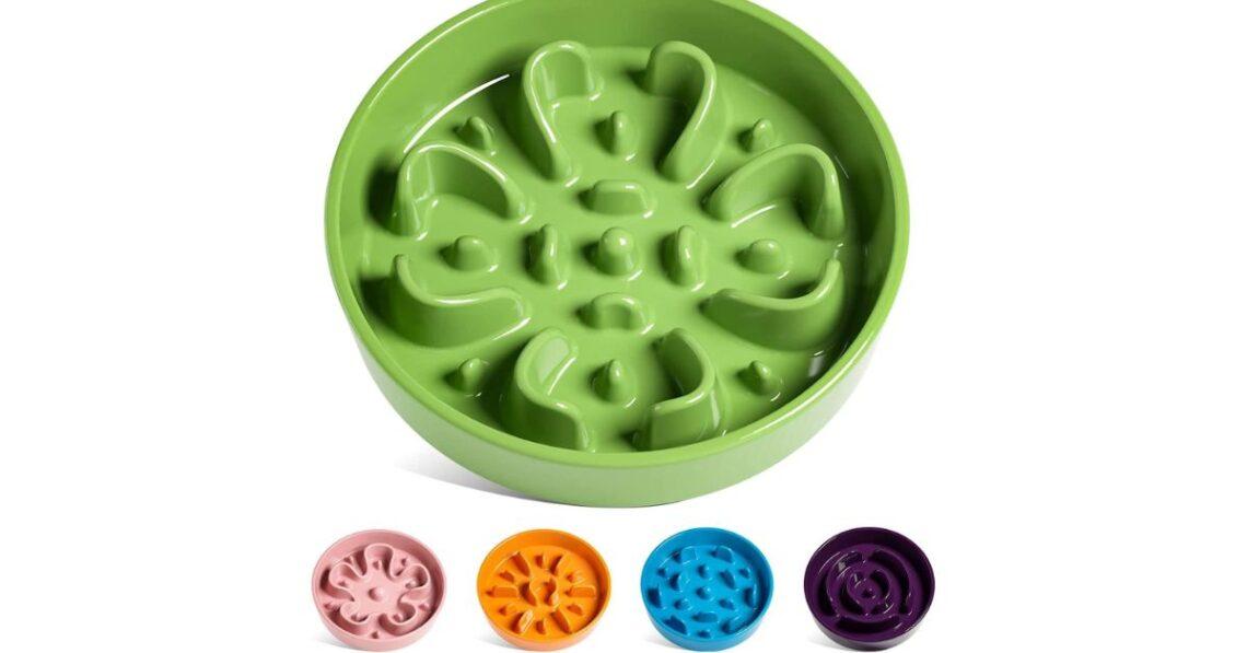 Best Food Bowl for Dog with no Teeth Buyer's Guide