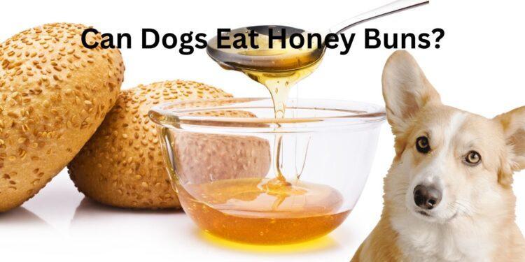 Can Dogs Eat Honey Buns?