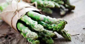 Can Spaniels have Asparagus?