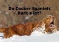 Do Cocker Spaniels Bark a lot?