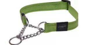 Is Using Half Choke Collars on Dogs Cruel?