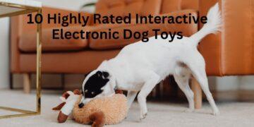 10 Highly Rated Interactive Electronic Dog Toys [2022]