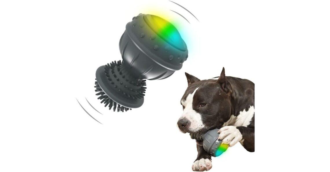 10 Highly Rated Interactive Electronic Dog Toys [2022]