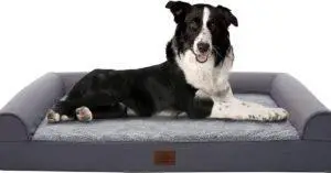 5 Best Dog Beds UK 2022- Comfy, Large, Washable