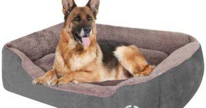 5 Best Dog Beds UK 2022- Comfy, Large, Washable