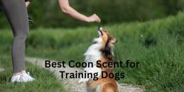 Best Coon Scent for Training Dogs