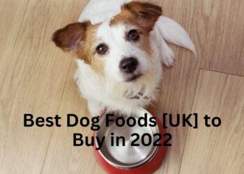 Best Dog Foods [UK] to buy in 2022- Raw, Dry, Fresh, Wet