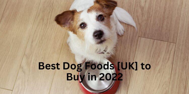 Best Dog Foods [UK] to buy in 2022- Raw, Dry, Fresh, Wet