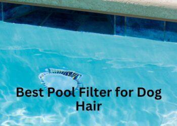 Best Pool Filter for Dog Hair