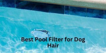 Best Pool Filter for Dog Hair