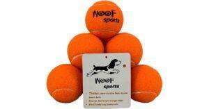 Best Tennis Balls for Dogs