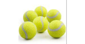Best Tennis Balls for Dogs