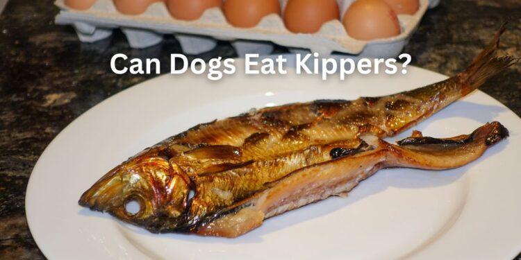 Can Dogs Eat Kippers?