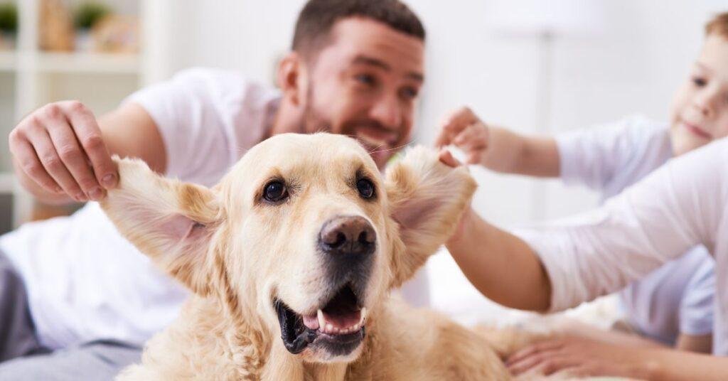 Dog Ear Position Chart- Dog Ear Position Meaning