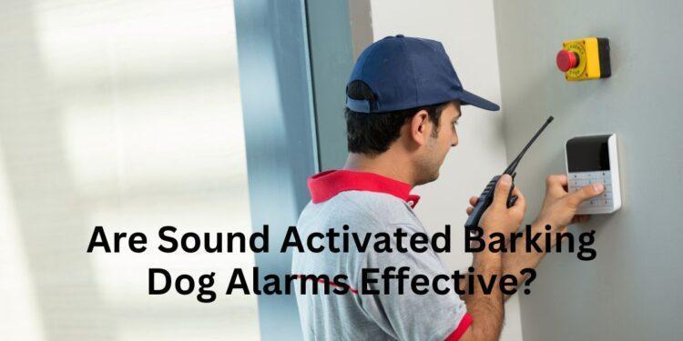Are Sound Activated Barking Dog Alarms Effective?
