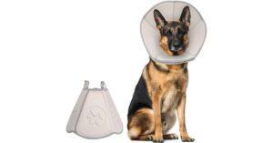 Best Alternatives to Dog Cone of Shame