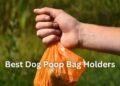 Best Dog Poop Bag Holders