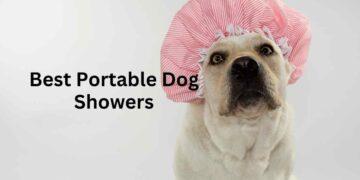 Best Portable Dog Washer