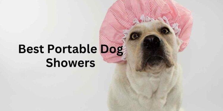 Best Portable Dog Washer
