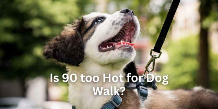 Is 90 too Hot for Dog Walk?