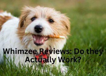 Whimzees Reviews: Do they actually work?