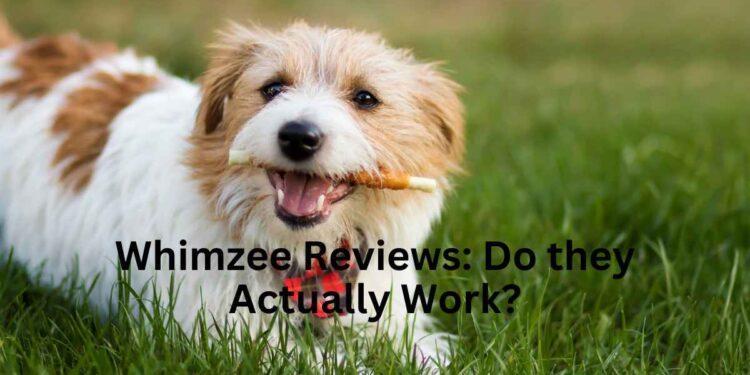 Whimzees Reviews: Do they actually work?