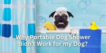 Why Portable Dog Shower didn't Work for my Dog?