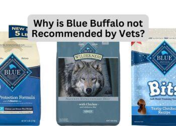 Why is Blue Buffalo not Recommended by Vets?
