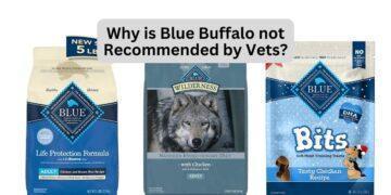 Why is Blue Buffalo not Recommended by Vets?