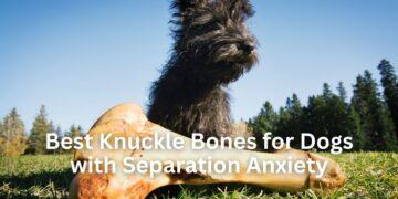 Best Knuckle Bones for Dogs with Separation Anxiety