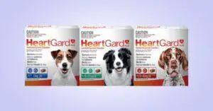 Can I give my Dog a Lower Dose of Heartgard?